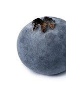 Blueberry